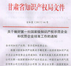 國家級(jí)知識(shí)產(chǎn)權(quán)示范和優(yōu)勢企業(yè)