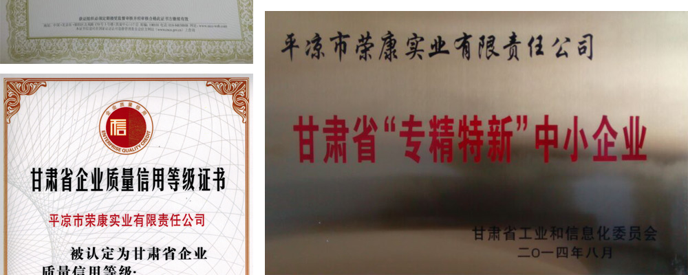 高新技術(shù)企業(yè)